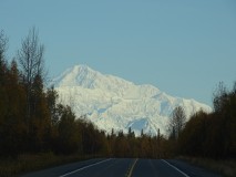 Road to Fairbanks ( Denali NP)
